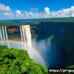 가이아나 가는 방법 - **A Majestic View of Kaieteur Falls:**
    A breathtaking wide-angle aerial shot capturing the immen...