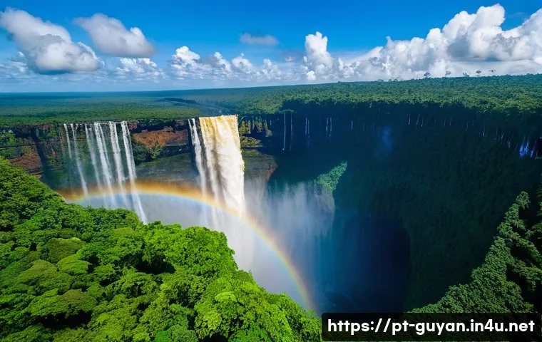 가이아나 가는 방법 - **A Majestic View of Kaieteur Falls:**
    A breathtaking wide-angle aerial shot capturing the immen...
