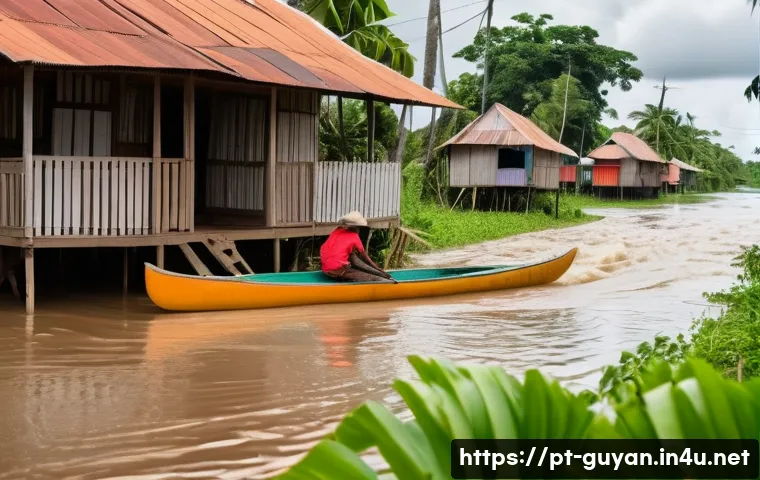 가이아나 우기와 건기 관련 이미지 2